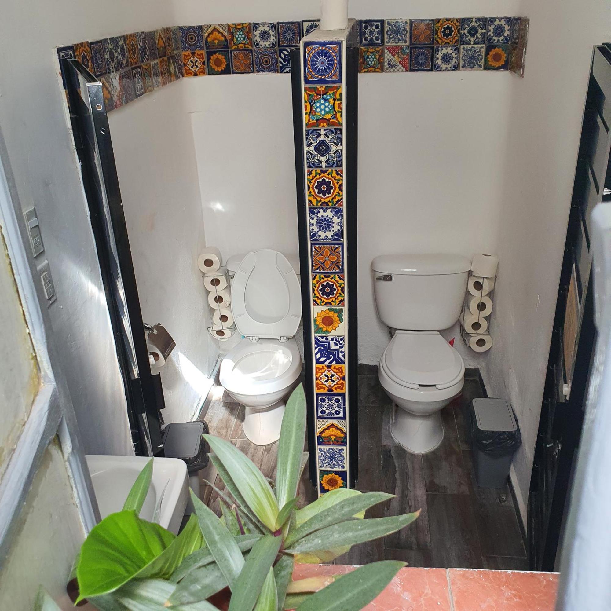 Sukha Hostel San Luis San Luis Potosí Zewnętrze zdjęcie